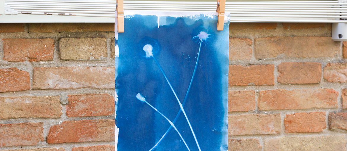 Gids voor Cyanotype